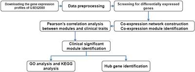 Screening prognostic genes related to leucovorin, fluorouracil, and irinotecan treatment sensitivity by performing co-expression network analysis for colon cancer